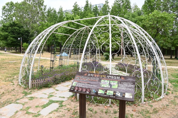 쥐방울덩굴의 지주 역할 및 애벌레와 나비를 보호할 수 있도록 서호공원에 설치된 꼬리명주나비 생태정원.
