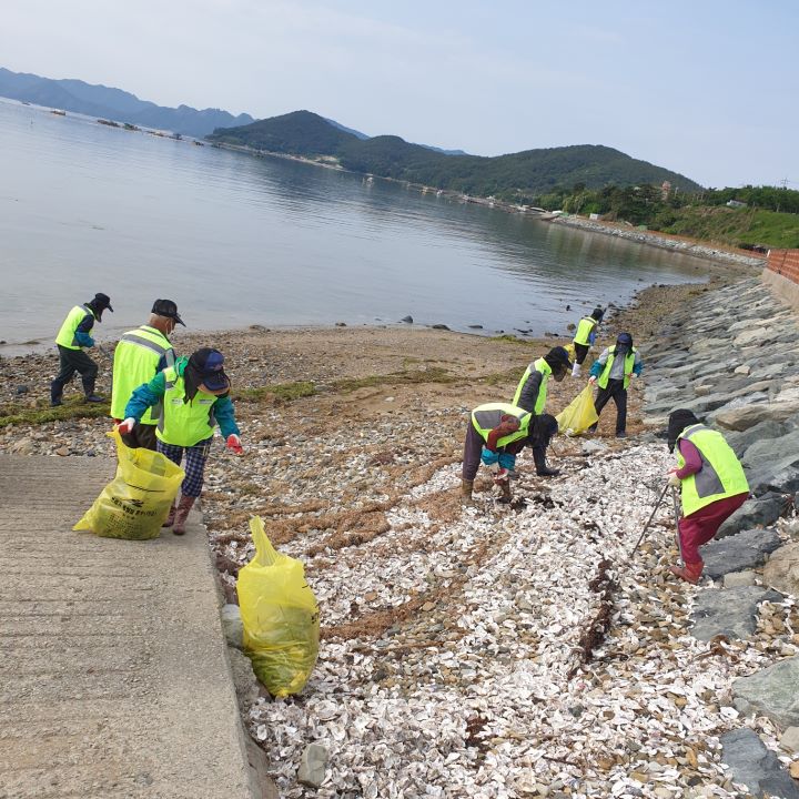 2022 뉴 - KOEN 바다사랑지킴이 참여자들이 바닷가 주변에서 환경정화활동을 펼치고 있다. [사진=남동발전]