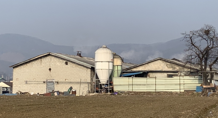 관내 한 축산농가의 모습.
