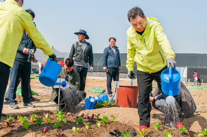‘세곡천 힐링텃밭’ 에 모종을 심고 물을 주고 있는 김형대 의장.