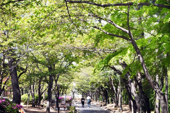 K-시흥시- 도심 속 싱그러운 쉼터 비둘기공원.