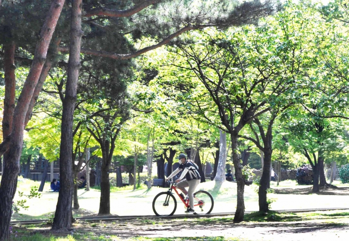 K-시흥시-초록 옷 갈아입은 시흥 ‘옥구공원’서 즐기는 망중한.