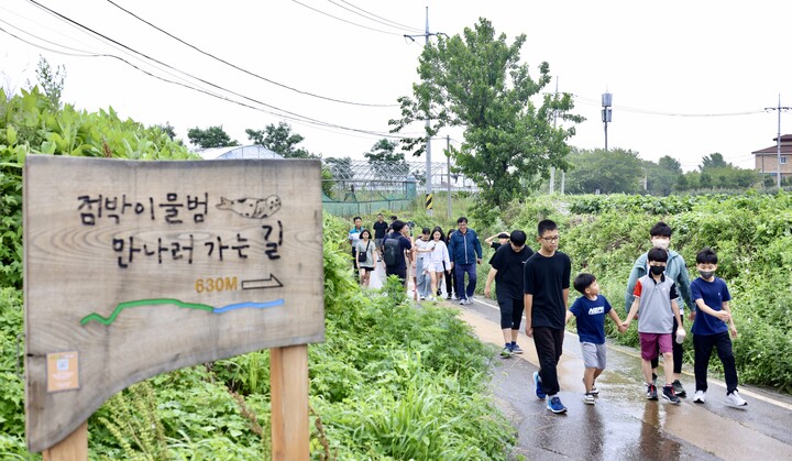 도성훈 인천광역시교육감  백령초 학생들과 오누이 산책 동행.