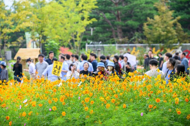 일산호수공원에서 ‘2023고양가을꽃축제’를 관람 중인 방문객들.